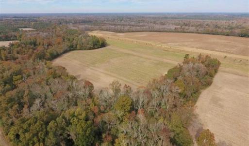 Photo of 34.4 Acres of Hunting and Farm Land For Sale in Craven County NC!