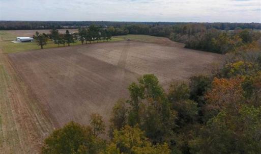 Photo of 34.4 Acres of Hunting and Farm Land For Sale in Craven County NC!