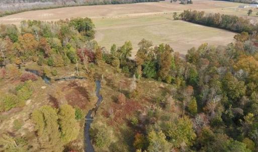 Photo of 34.4 Acres of Hunting and Farm Land For Sale in Craven County NC!