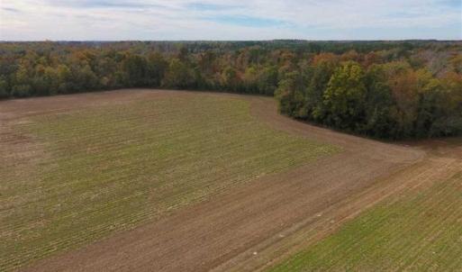 Photo of 34.4 Acres of Hunting and Farm Land For Sale in Craven County NC!
