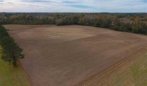 Photo of 34.4 Acres of Hunting and Farm Land For Sale in Craven County NC!