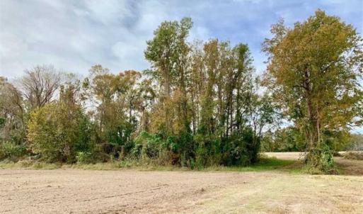 Photo of 34.4 Acres of Hunting and Farm Land For Sale in Craven County NC!