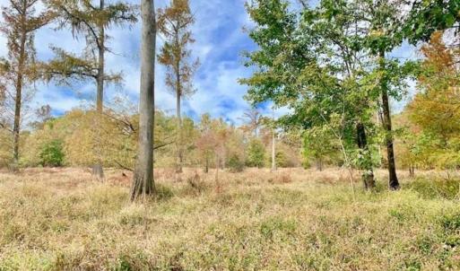 Photo of 34.4 Acres of Hunting and Farm Land For Sale in Craven County NC!