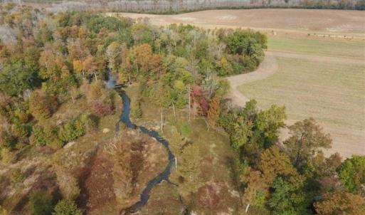 Photo of 34.4 Acres of Hunting and Farm Land For Sale in Craven County NC!