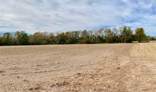 Photo of 34.4 Acres of Hunting and Farm Land For Sale in Craven County NC!