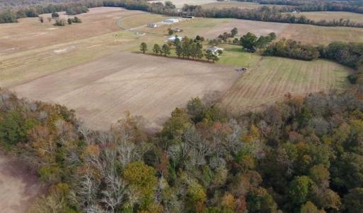 Photo of 34.4 Acres of Hunting and Farm Land For Sale in Craven County NC!