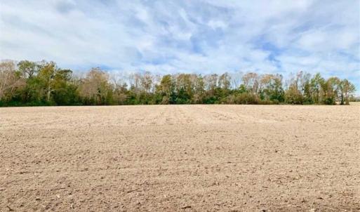 Photo of 34.4 Acres of Hunting and Farm Land For Sale in Craven County NC!