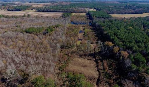 Photo of 19.64 Acres of Tar River Hunting Land For Sale in Edgecombe County NC!