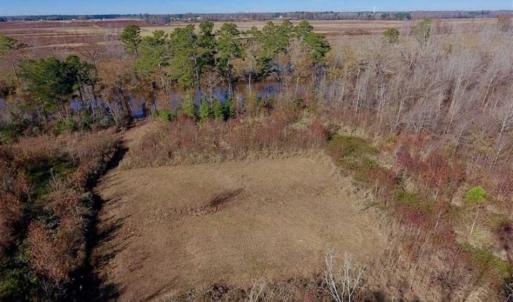 Photo of 19.64 Acres of Tar River Hunting Land For Sale in Edgecombe County NC!