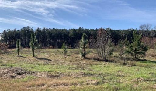 Photo of 19.64 Acres of Tar River Hunting Land For Sale in Edgecombe County NC!