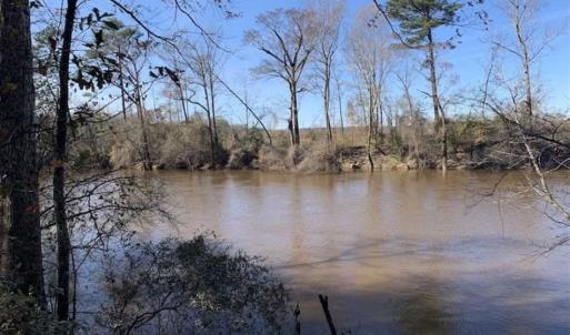 Photo of 19.64 Acres of Tar River Hunting Land For Sale in Edgecombe County NC!