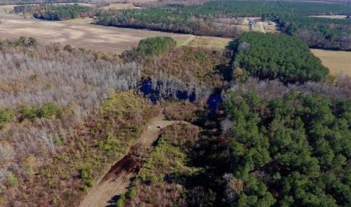 Photo of 19.64 Acres of Tar River Hunting Land For Sale in Edgecombe County NC!
