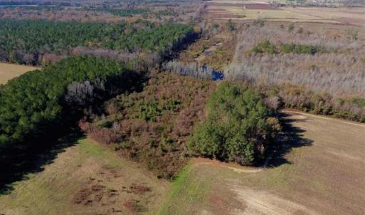 Photo of 19.64 Acres of Tar River Hunting Land For Sale in Edgecombe County NC!