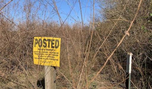 Photo of 19.64 Acres of Tar River Hunting Land For Sale in Edgecombe County NC!
