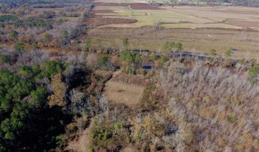 Photo of 19.64 Acres of Tar River Hunting Land For Sale in Edgecombe County NC!