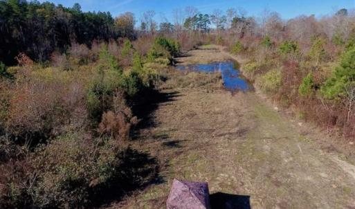 Photo of 19.64 Acres of Tar River Hunting Land For Sale in Edgecombe County NC!