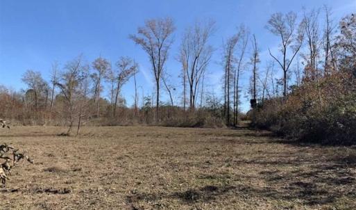 Photo of 19.64 Acres of Tar River Hunting Land For Sale in Edgecombe County NC!