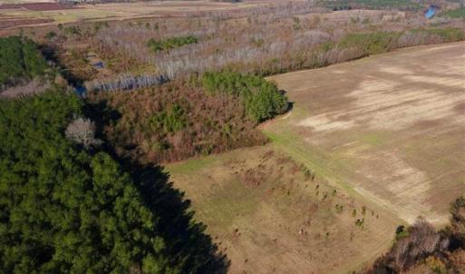 Photo of 19.64 Acres of Tar River Hunting Land For Sale in Edgecombe County NC!