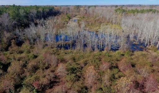 Photo of 19.64 Acres of Tar River Hunting Land For Sale in Edgecombe County NC!