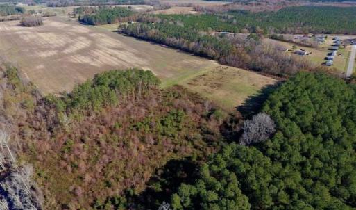 Photo of 19.64 Acres of Tar River Hunting Land For Sale in Edgecombe County NC!