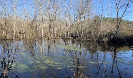 Photo of 19.64 Acres of Tar River Hunting Land For Sale in Edgecombe County NC!