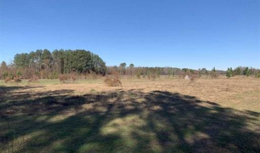 Photo of 19.64 Acres of Tar River Hunting Land For Sale in Edgecombe County NC!