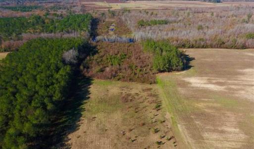 Photo of 19.64 Acres of Tar River Hunting Land For Sale in Edgecombe County NC!