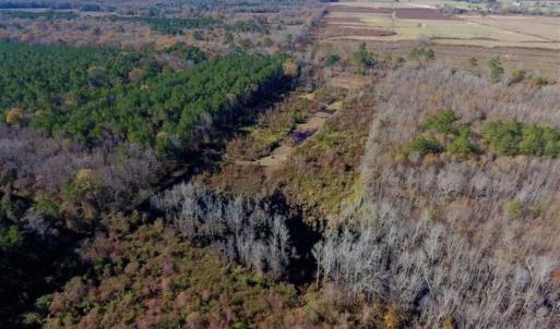 Photo of 19.64 Acres of Tar River Hunting Land For Sale in Edgecombe County NC!