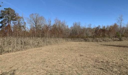 Photo of 19.64 Acres of Tar River Hunting Land For Sale in Edgecombe County NC!