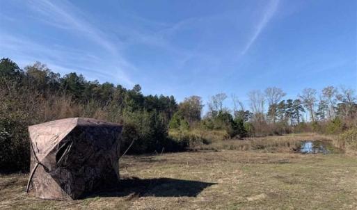Photo of 19.64 Acres of Tar River Hunting Land For Sale in Edgecombe County NC!