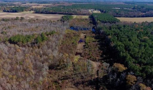 Photo of 19.64 Acres of Tar River Hunting Land For Sale in Edgecombe County NC!
