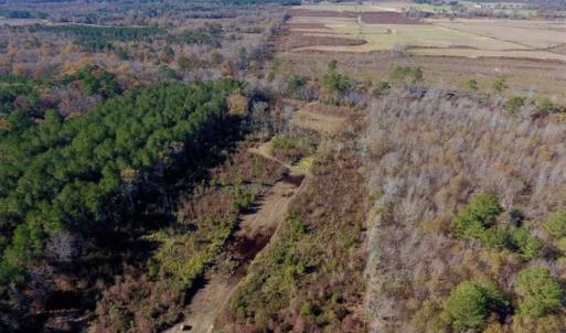Photo of 19.64 Acres of Tar River Hunting Land For Sale in Edgecombe County NC!
