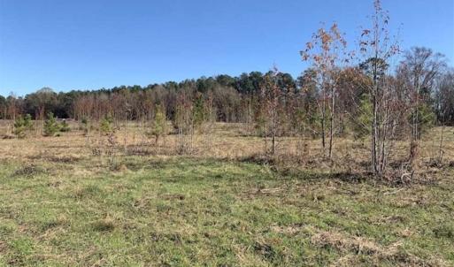 Photo of 19.64 Acres of Tar River Hunting Land For Sale in Edgecombe County NC!