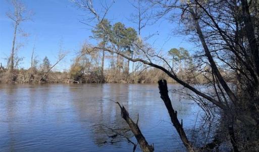 Photo of 19.64 Acres of Tar River Hunting Land For Sale in Edgecombe County NC!