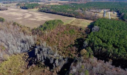 Photo of 19.64 Acres of Tar River Hunting Land For Sale in Edgecombe County NC!