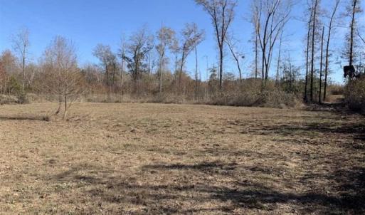 Photo of 19.64 Acres of Tar River Hunting Land For Sale in Edgecombe County NC!