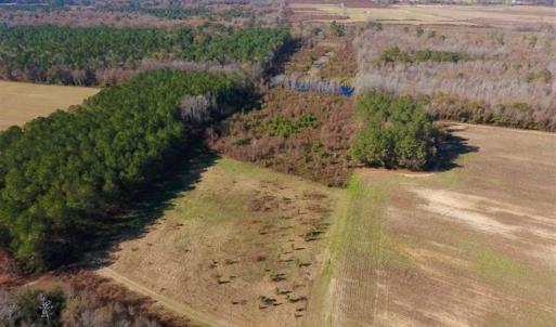 Photo of 19.64 Acres of Tar River Hunting Land For Sale in Edgecombe County NC!