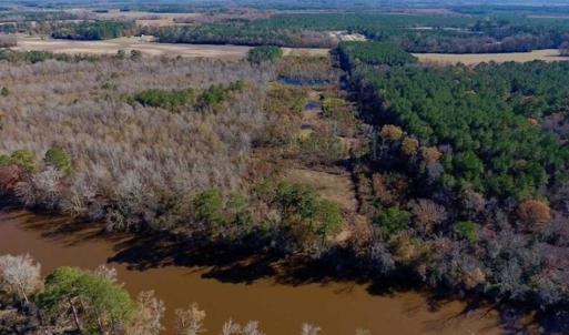 Photo of 19.64 Acres of Tar River Hunting Land For Sale in Edgecombe County NC!