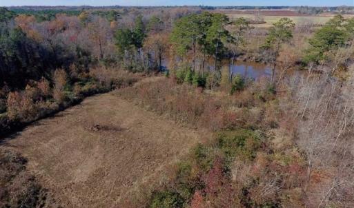 Photo of 19.64 Acres of Tar River Hunting Land For Sale in Edgecombe County NC!