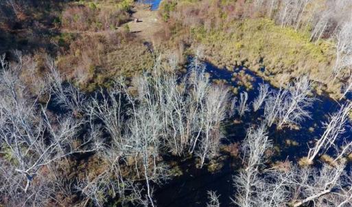 Photo of 19.64 Acres of Tar River Hunting Land For Sale in Edgecombe County NC!