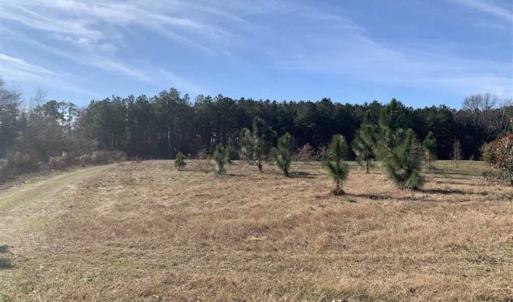 Photo of 19.64 Acres of Tar River Hunting Land For Sale in Edgecombe County NC!