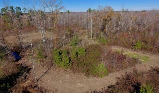 Photo of 19.64 Acres of Tar River Hunting Land For Sale in Edgecombe County NC!