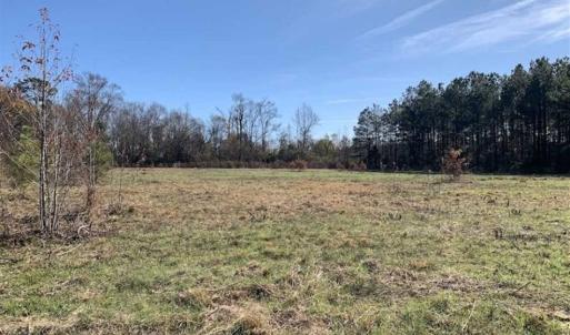 Photo of 19.64 Acres of Tar River Hunting Land For Sale in Edgecombe County NC!