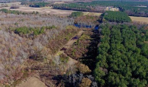 Photo of 19.64 Acres of Tar River Hunting Land For Sale in Edgecombe County NC!