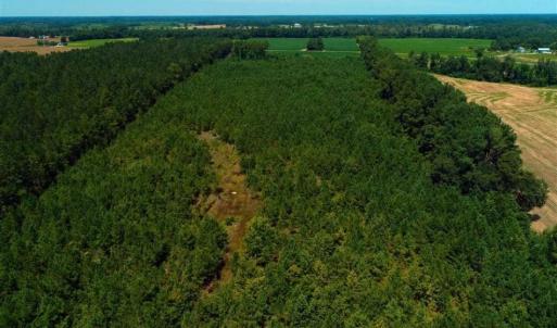Photo of UNDER CONTRACT!  29 Acres of Farm and Timber Land For Sale in Duplin County NC!