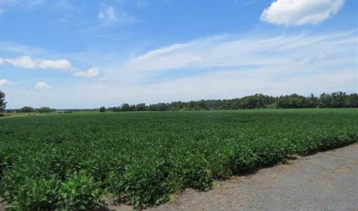 Photo of UNDER CONTRACT!!  35 Acres of Farm and Hunting Land For Sale in Duplin County NC!