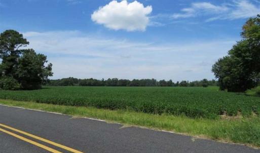 Photo of UNDER CONTRACT!!  35 Acres of Farm and Hunting Land For Sale in Duplin County NC!