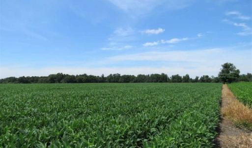 Photo of UNDER CONTRACT!!  35 Acres of Farm and Hunting Land For Sale in Duplin County NC!