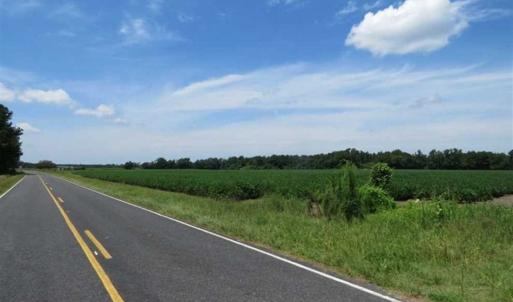 Photo of UNDER CONTRACT!!  35 Acres of Farm and Hunting Land For Sale in Duplin County NC!