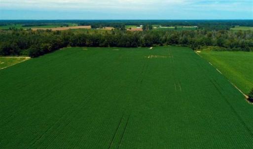 Photo of UNDER CONTRACT!!  35 Acres of Farm and Hunting Land For Sale in Duplin County NC!